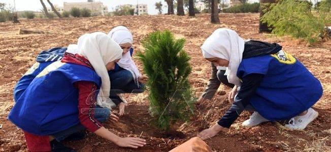 2اشجار حراجية في ضاحية الاسد